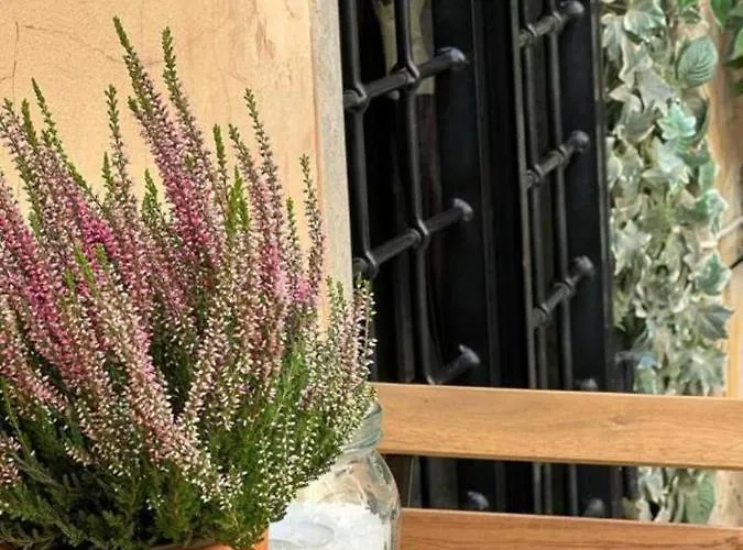 Tatil Evi Relax Chiavari House Roma